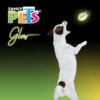 Fancy Pets - Juguete para Perro Balon Glow