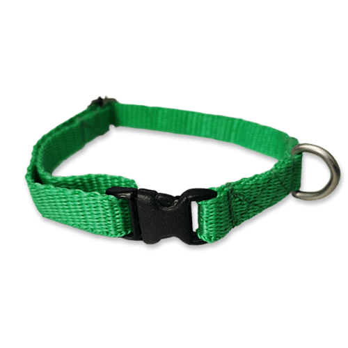 Collar para perros color verde, fabricado con tela de nylon ideal para brindar seguridad y comodidad a tu mascota. El collar es de tamaño chico, con medida de 35cm de largo como máximo, el cual es ajustable y 1cm de ancho.