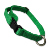 Collar para perros color verde, fabricado con tela de nylon ideal para brindar seguridad y comodidad a tu mascota. El collar es de tamaño chico, con medida de 35cm de largo como máximo, el cual es ajustable y 1cm de ancho.