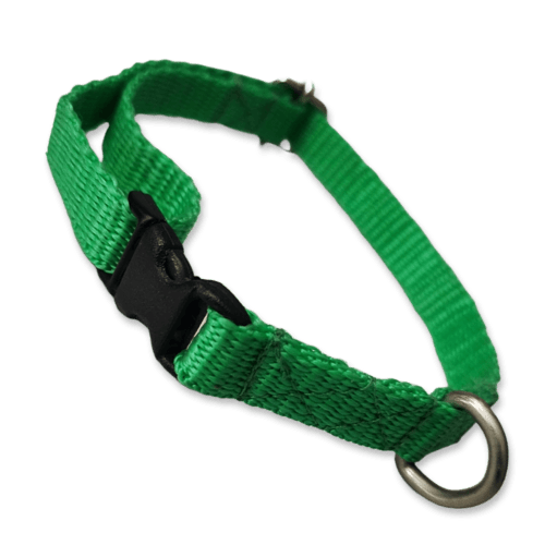 Collar para perros color verde, fabricado con tela de nylon ideal para brindar seguridad y comodidad a tu mascota. El collar es de tamaño chico, con medida de 35cm de largo como máximo, el cual es ajustable y 1cm de ancho.