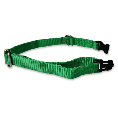Collar para perros color verde, fabricado con tela de nylon ideal para brindar seguridad y comodidad a tu mascota. El collar es de tamaño chico, con medida de 35cm de largo como máximo, el cual es ajustable y 1cm de ancho.