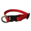 Collar para perros color rojo, fabricado con tela de nylon ideal para brindar seguridad y comodidad a tu mascota. El collar es de tamaño chico, con medida de 35cm de largo como máximo, el cual es ajustable y 1cm de ancho. Ideal para Razas mini o pequeñas.