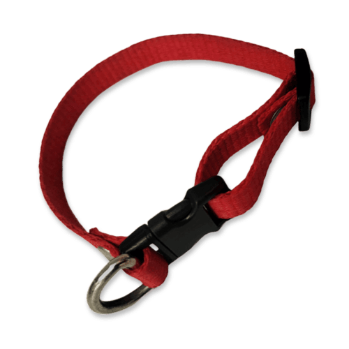 Collar para perros color rojo, fabricado con tela de nylon ideal para brindar seguridad y comodidad a tu mascota. El collar es de tamaño chico, con medida de 35cm de largo como máximo, el cual es ajustable y 1cm de ancho. Ideal para Razas mini o pequeñas.