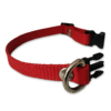 Collar para perros color rojo, fabricado con tela de nylon ideal para brindar seguridad y comodidad a tu mascota. El collar es de tamaño chico, con medida de 35cm de largo como máximo, el cual es ajustable y 1cm de ancho. Ideal para Razas mini o pequeñas.