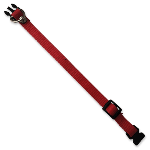 Collar para perros color rojo, fabricado con tela de nylon ideal para brindar seguridad y comodidad a tu mascota. El collar es de tamaño chico, con medida de 35cm de largo como máximo, el cual es ajustable y 1cm de ancho. Ideal para Razas mini o pequeñas.