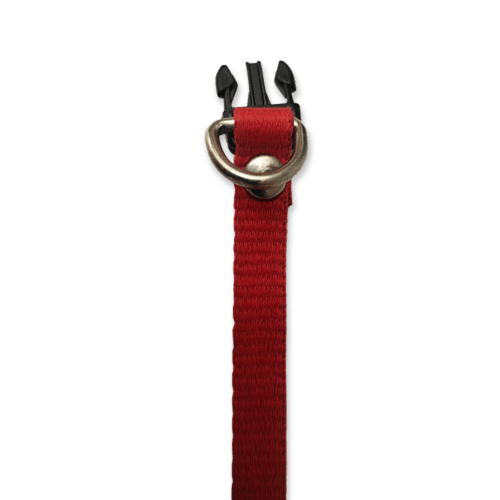 Collar para perros color rojo, fabricado con tela de nylon ideal para brindar seguridad y comodidad a tu mascota. El collar es de tamaño chico, con medida de 35cm de largo como máximo, el cual es ajustable y 1cm de ancho. Ideal para Razas mini o pequeñas.