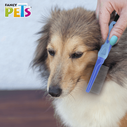 Peine para perros desenredante de metal ideal para manto medio y largo, elimina los nudos eficazmente sin dañar la piel de tu mascota, es una herramienta útil para el cepillado, evitar tirones y no irritar la piel de tu perro.