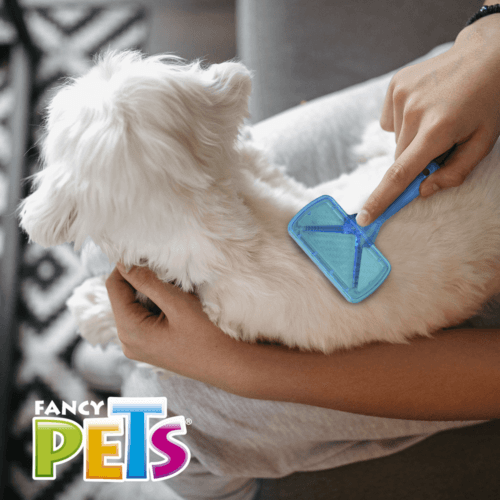 Carda para perros con puntas recubiertas, herramienta útil para el cepillado de las mascotas que brinda un cuidado adecuado para eliminar el pelo muerto