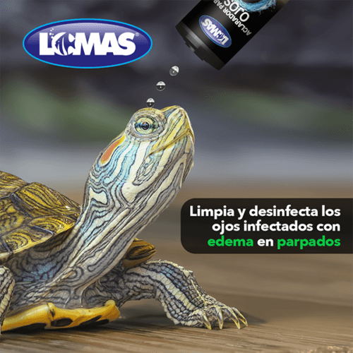 Aclarador de Ojos para Tortugas 120ml, limpia y desinfecta los ojos de tortugas con edema en parpados.